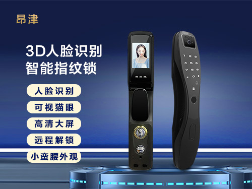 人脸识别锁R503