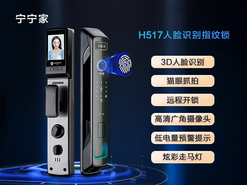 人脸识别锁H517